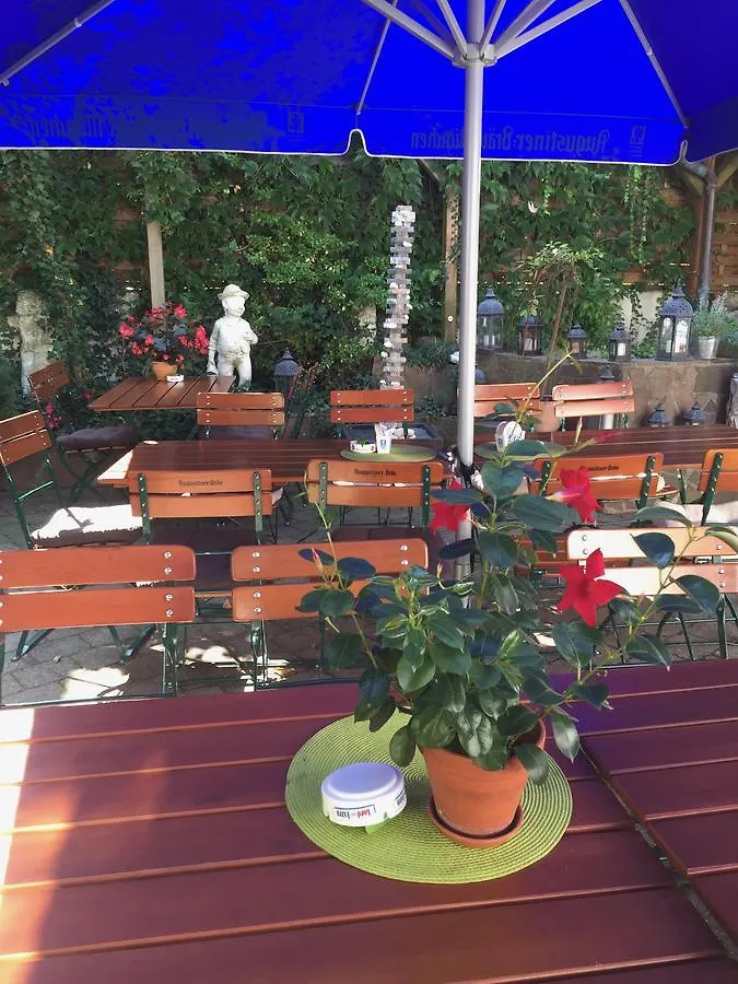 Gasthof Und Hotel Zum Hirsch Ichenhausen 3*,